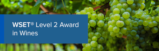ThirtyFifty - WSET Level 2 Wine Courses